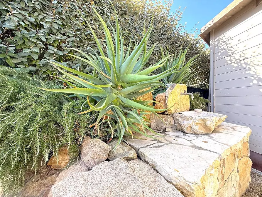 Immagine 12 di Villa in vendita  in Via mare sn a Badesi