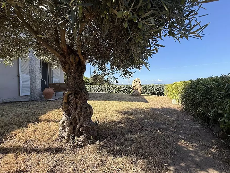 Immagine 19 di Villa in vendita  in Via mare sn a Badesi