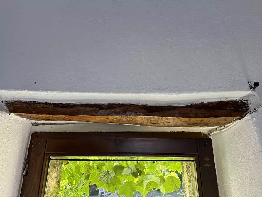 Immagine 4 di Rustico / casale in vendita  in Stazzo La Casedda 92 a Aglientu