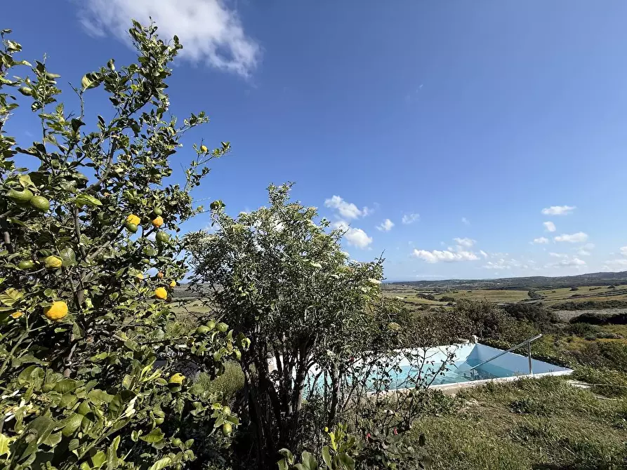 Immagine 14 di Rustico / casale in vendita  in Stazzo La Casedda 92 a Aglientu