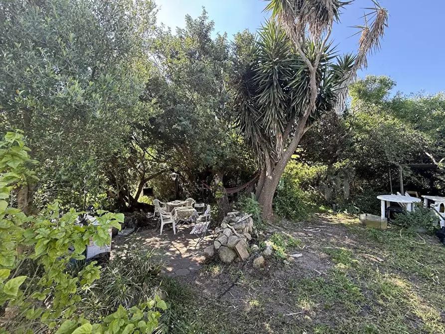 Immagine 24 di Rustico / casale in vendita  in Stazzo La Casedda 92 a Aglientu