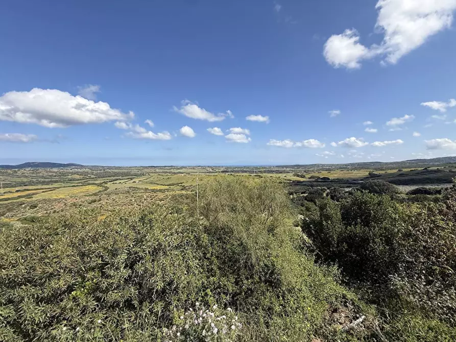 Immagine 28 di Rustico / casale in vendita  in Stazzo La Casedda 92 a Aglientu
