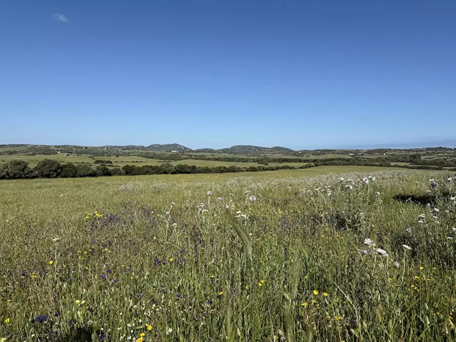 Immagine 29 di Rustico / casale in vendita  in Stazzo La Casedda 92 a Aglientu
