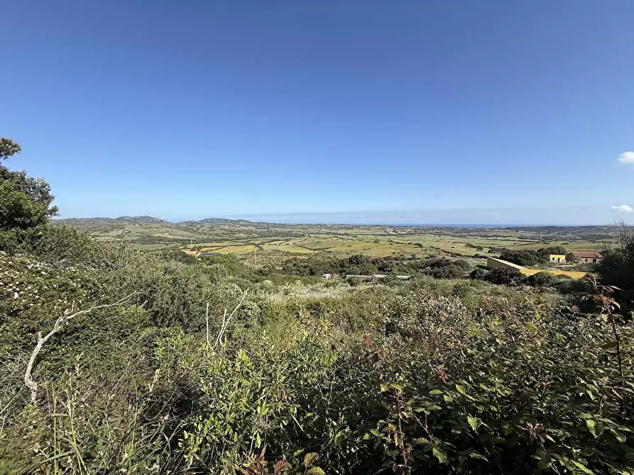 Immagine 30 di Rustico / casale in vendita  in Stazzo La Casedda 92 a Aglientu