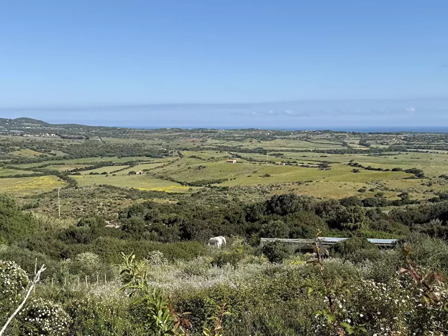 Immagine 32 di Rustico / casale in vendita  in Stazzo La Casedda 92 a Aglientu