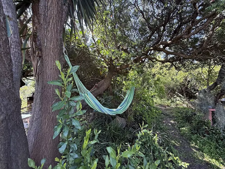 Immagine 34 di Rustico / casale in vendita  in Stazzo La Casedda 92 a Aglientu