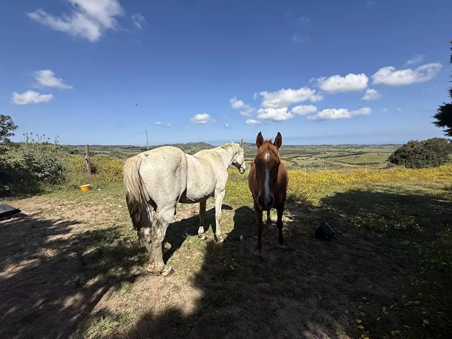 Immagine 35 di Rustico / casale in vendita  in Stazzo La Casedda 92 a Aglientu
