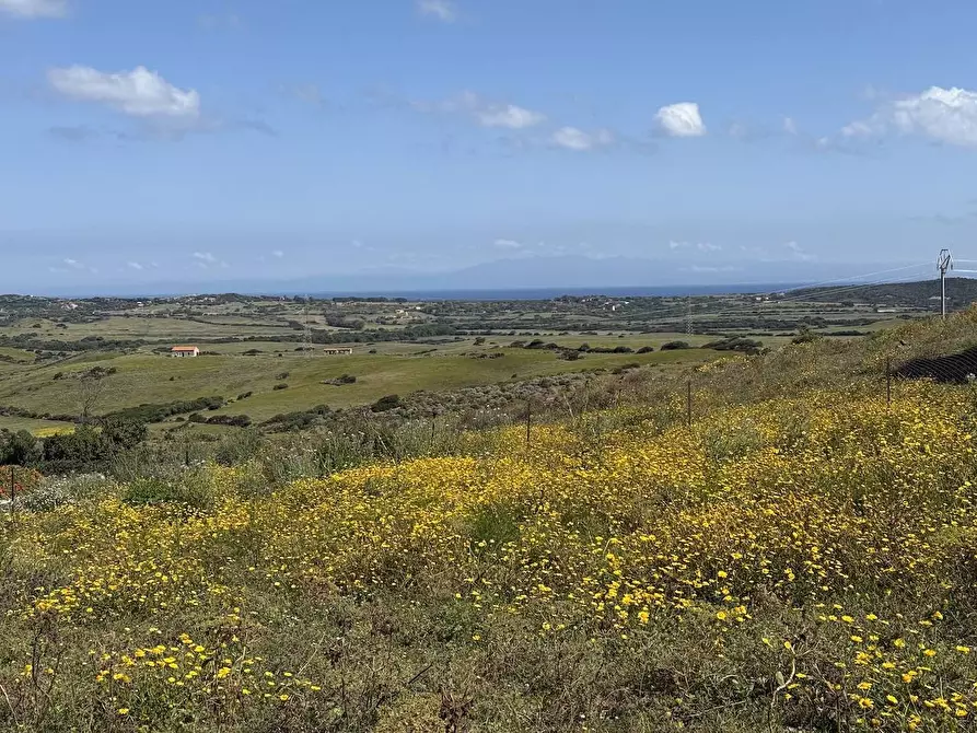 Immagine 36 di Rustico / casale in vendita  in Stazzo La Casedda 92 a Aglientu