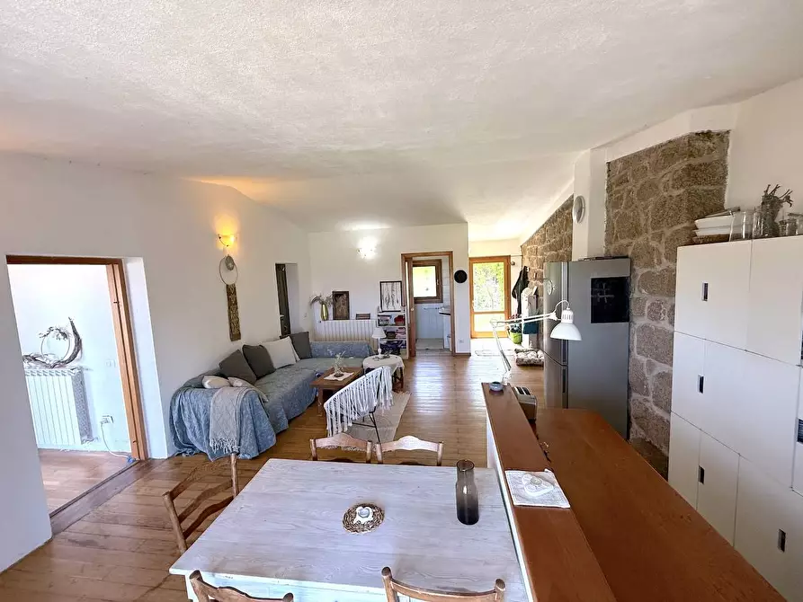 Immagine 44 di Rustico / casale in vendita  in Stazzo La Casedda 92 a Aglientu