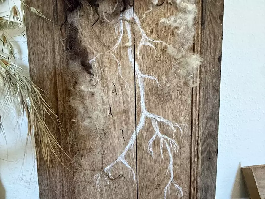 Immagine 56 di Rustico / casale in vendita  in Stazzo La Casedda 92 a Aglientu