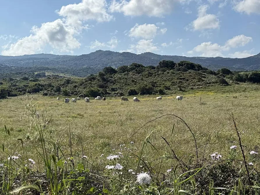 Immagine 58 di Rustico / casale in vendita  in Stazzo La Casedda 92 a Aglientu