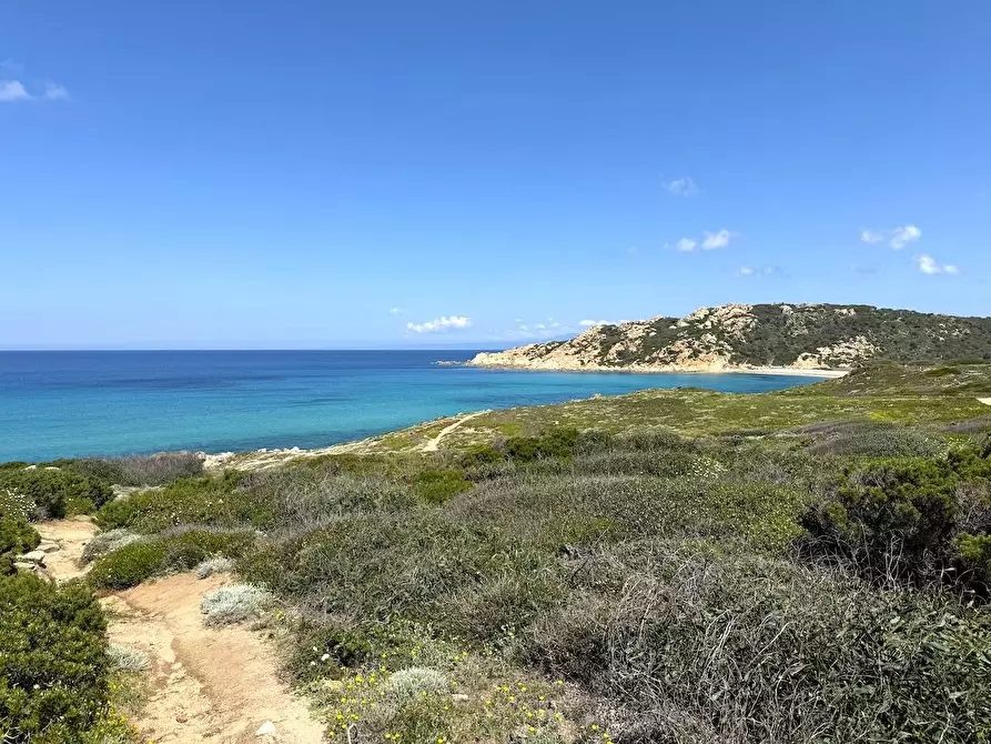 Immagine 63 di Rustico / casale in vendita  in Stazzo La Casedda 92 a Aglientu
