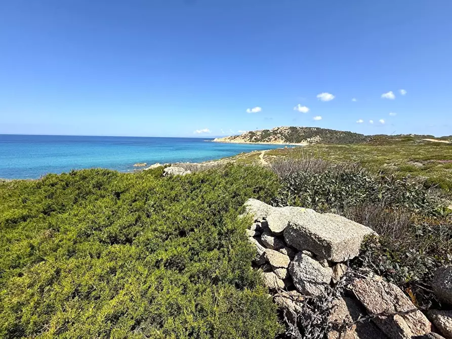 Immagine 64 di Rustico / casale in vendita  in Stazzo La Casedda 92 a Aglientu