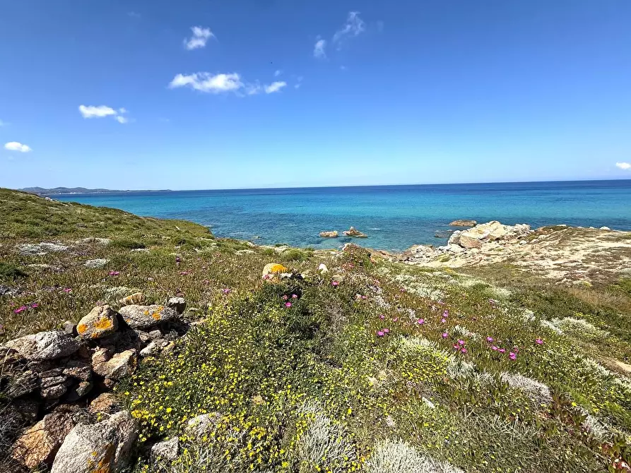 Immagine 65 di Rustico / casale in vendita  in Stazzo La Casedda 92 a Aglientu