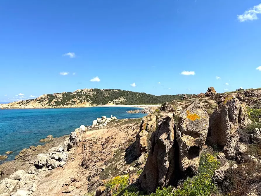 Immagine 66 di Rustico / casale in vendita  in Stazzo La Casedda 92 a Aglientu