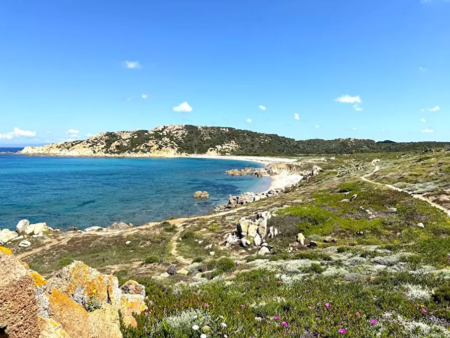 Immagine 68 di Rustico / casale in vendita  in Stazzo La Casedda 92 a Aglientu