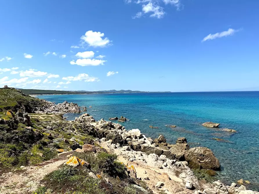 Immagine 69 di Rustico / casale in vendita  in Stazzo La Casedda 92 a Aglientu