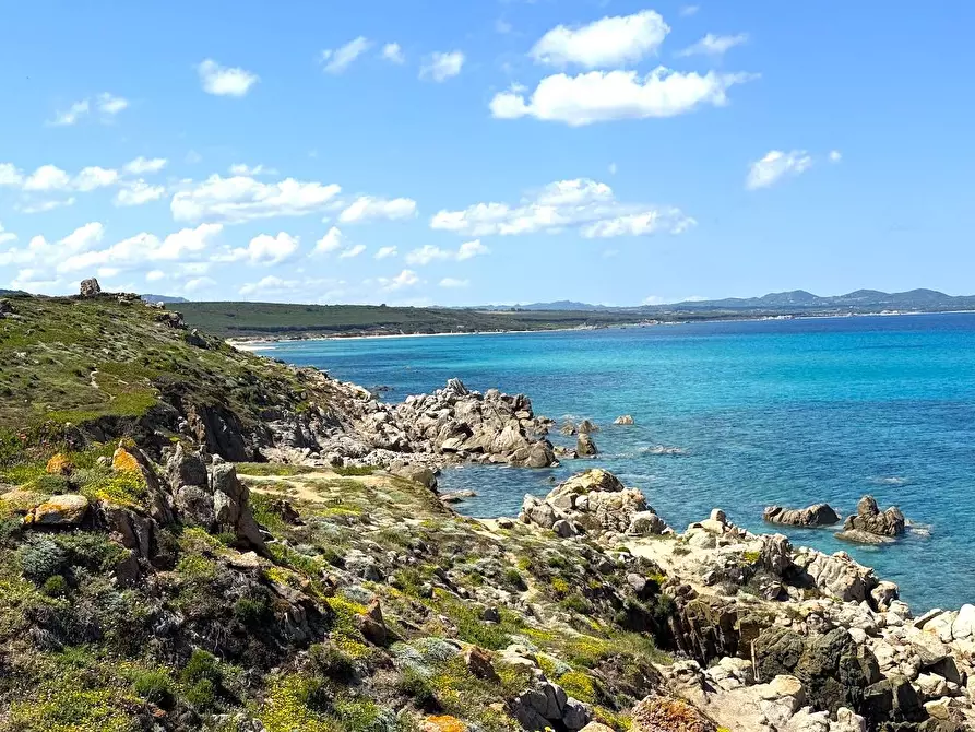 Immagine 70 di Rustico / casale in vendita  in Stazzo La Casedda 92 a Aglientu