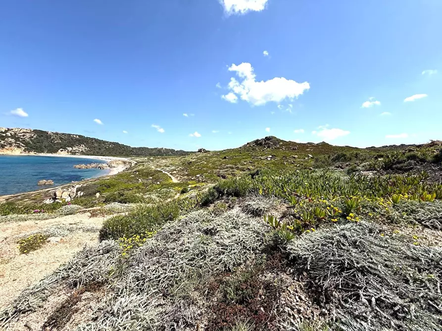 Immagine 71 di Rustico / casale in vendita  in Stazzo La Casedda 92 a Aglientu