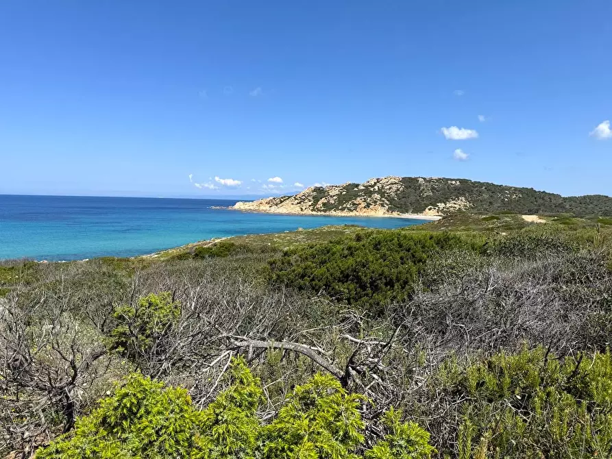 Immagine 72 di Rustico / casale in vendita  in Stazzo La Casedda 92 a Aglientu