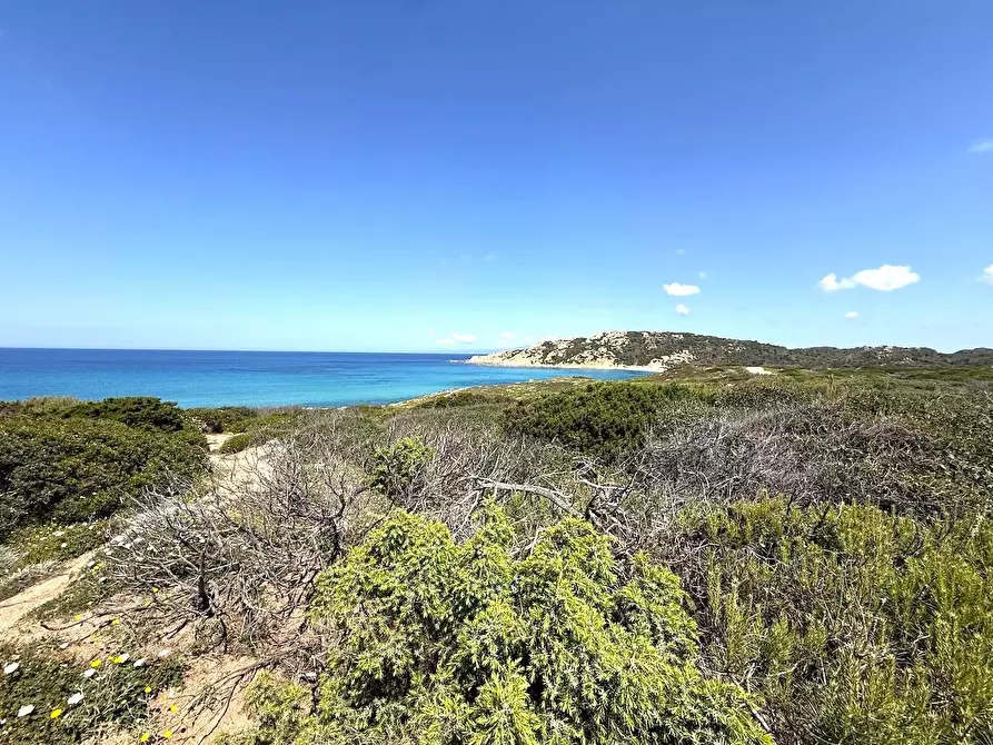 Immagine 73 di Rustico / casale in vendita  in Stazzo La Casedda 92 a Aglientu