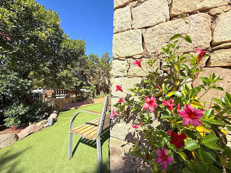 Immagine 5 di Villetta a schiera in vendita  a Trinità D'agultu E Vignola