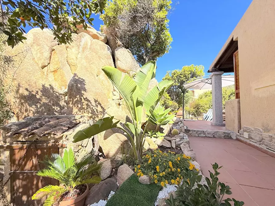 Immagine 8 di Villetta a schiera in vendita  a Trinità D'agultu E Vignola