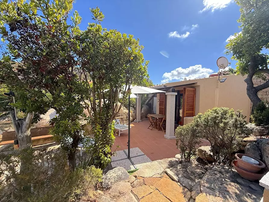 Immagine 14 di Villetta a schiera in vendita  a Trinità D'agultu E Vignola