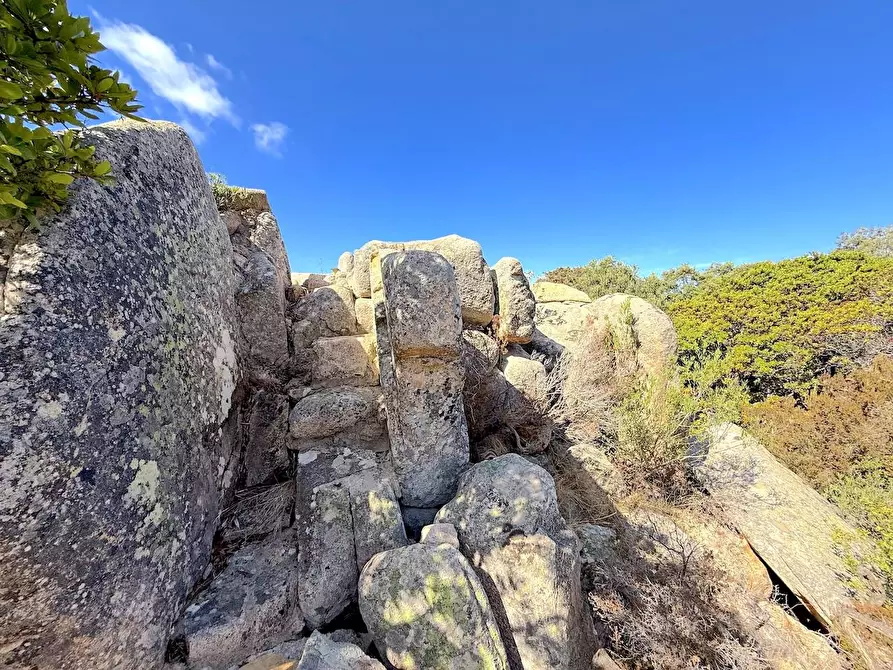Immagine 16 di Villetta a schiera in vendita  a Trinità D'agultu E Vignola