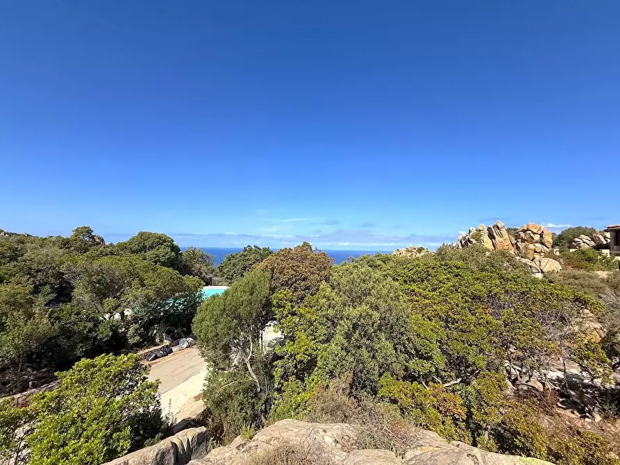 Immagine 17 di Villetta a schiera in vendita  a Trinità D'agultu E Vignola