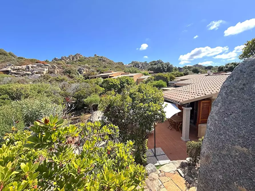 Immagine 20 di Villetta a schiera in vendita  a Trinità D'agultu E Vignola