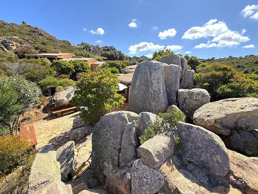 Immagine 21 di Villetta a schiera in vendita  a Trinità D'agultu E Vignola