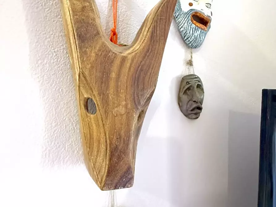 Immagine 39 di Villetta a schiera in vendita  a Trinità D'agultu E Vignola