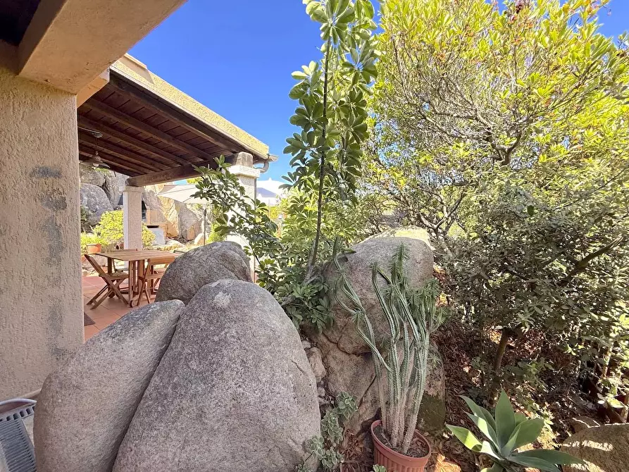 Immagine 41 di Villetta a schiera in vendita  a Trinità D'agultu E Vignola