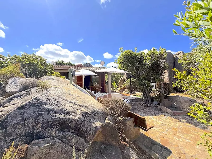 Immagine 44 di Villetta a schiera in vendita  a Trinità D'agultu E Vignola