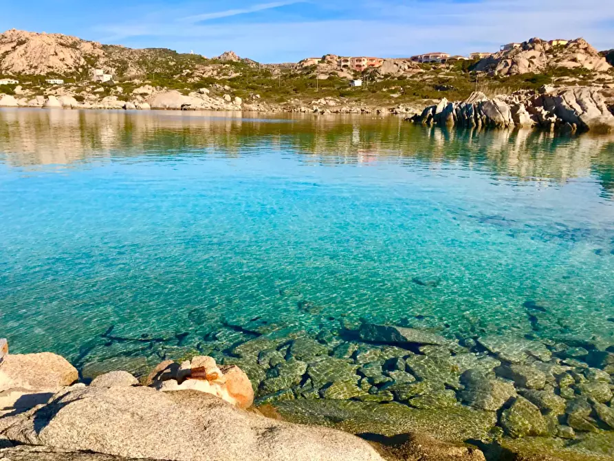 Immagine 19 di Appartamento in vendita  in Località Punta Tegge a La Maddalena