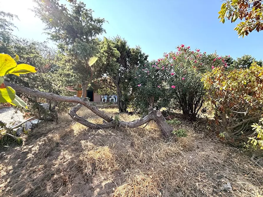 Immagine 50 di Casa semindipendente in vendita  in Via al mare a Trinità D'agultu E Vignola