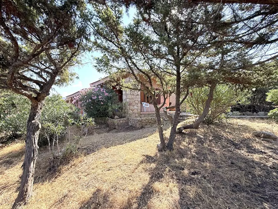 Immagine 51 di Casa semindipendente in vendita  in Via al mare a Trinità D'agultu E Vignola