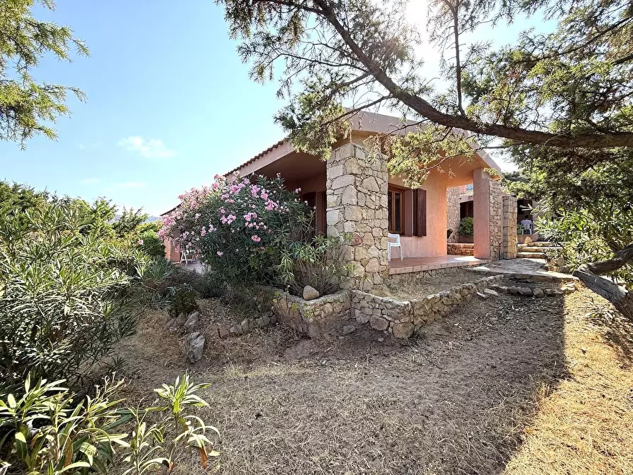 Immagine 52 di Casa semindipendente in vendita  in Via al mare a Trinità D'agultu E Vignola