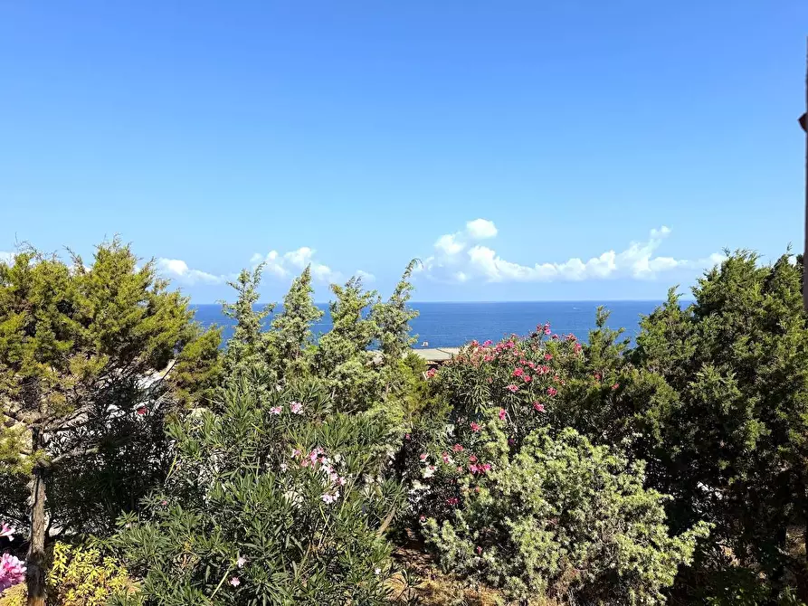 Immagine 55 di Casa semindipendente in vendita  in Via al mare a Trinità D'agultu E Vignola