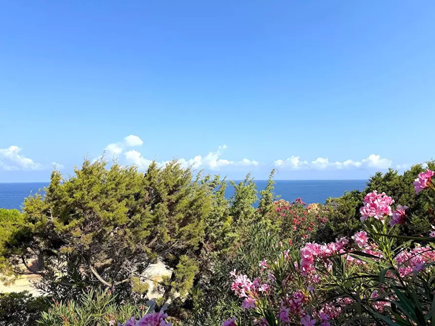 Immagine 56 di Casa semindipendente in vendita  in Via al mare a Trinità D'agultu E Vignola