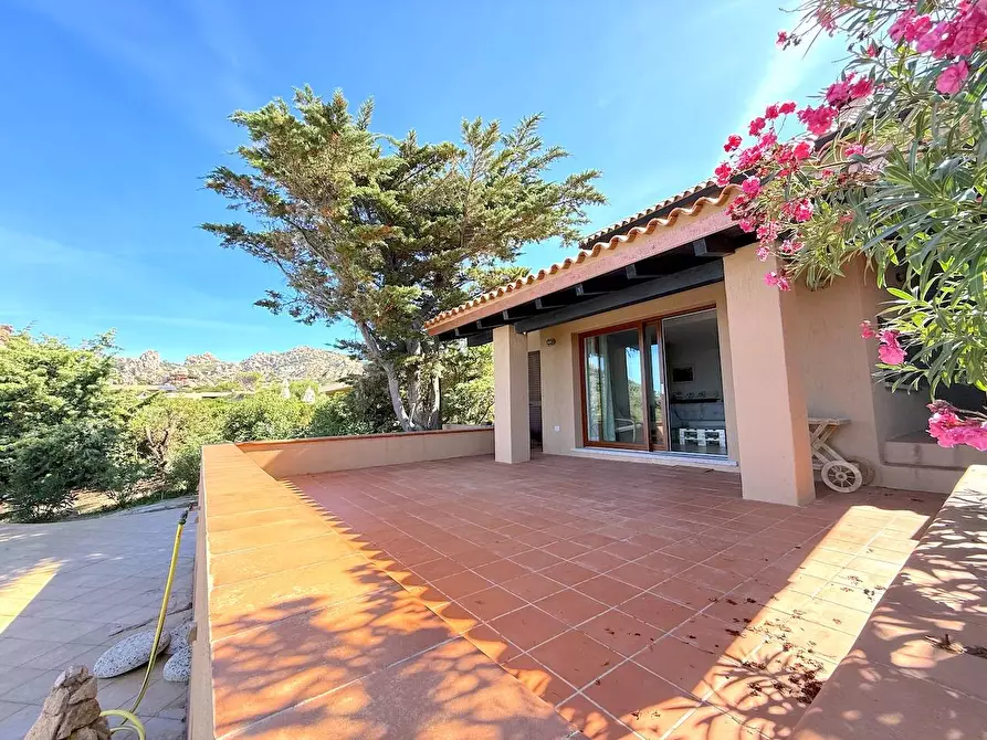 Immagine 10 di Villa in vendita  in La piana c21 a Trinità D'agultu E Vignola