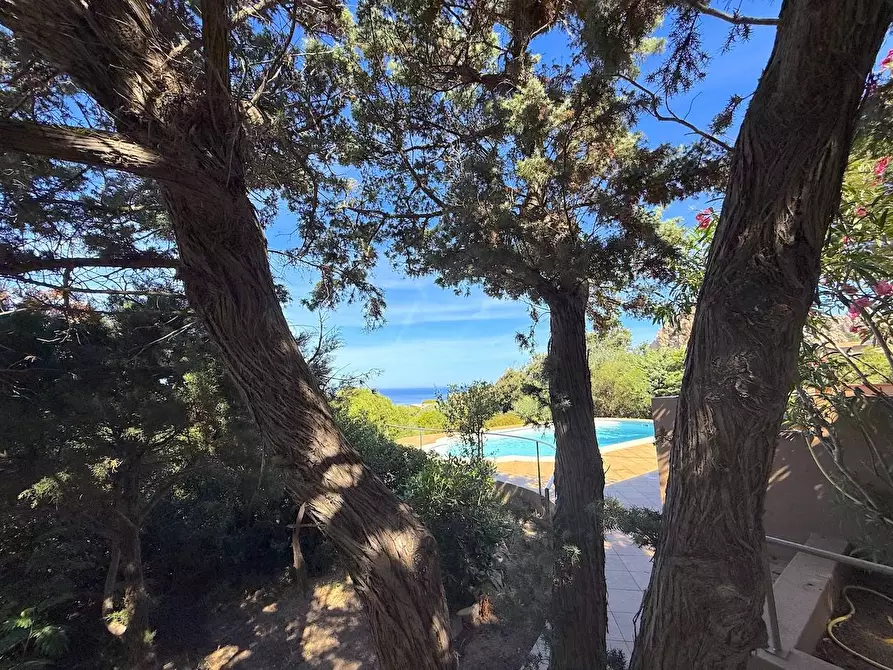 Immagine 11 di Villa in vendita  in La piana c21 a Trinità D'agultu E Vignola