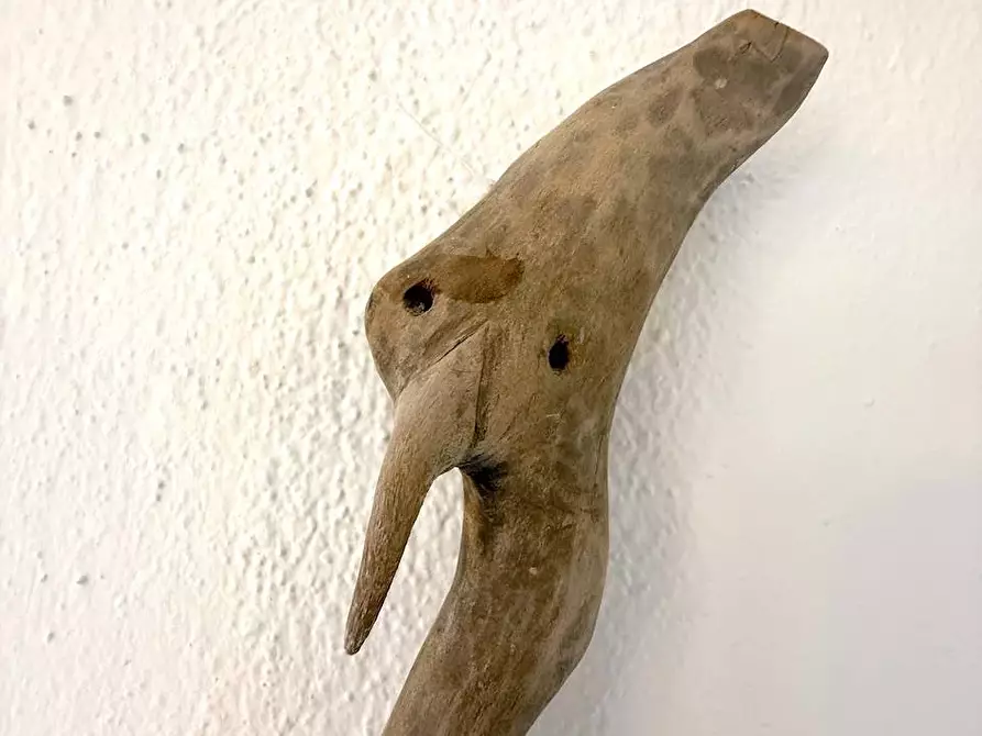 Immagine 25 di Villa in vendita  in La piana c21 a Trinità D'agultu E Vignola