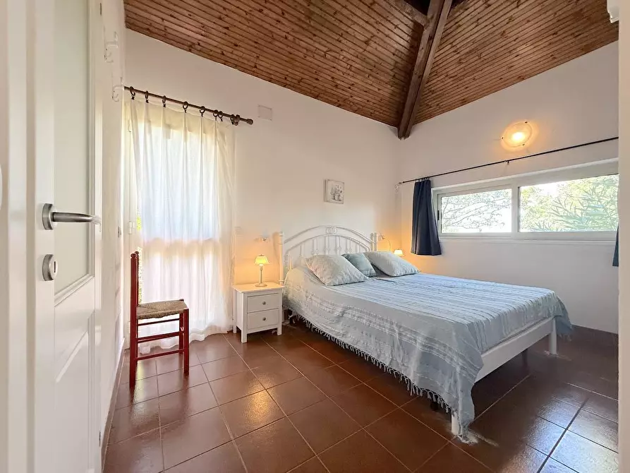 Immagine 30 di Villa in vendita  in La piana c21 a Trinità D'agultu E Vignola