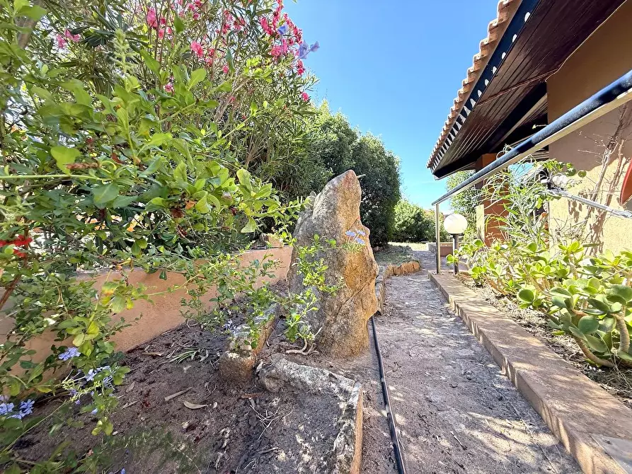 Immagine 38 di Villa in vendita  in La piana c21 a Trinità D'agultu E Vignola