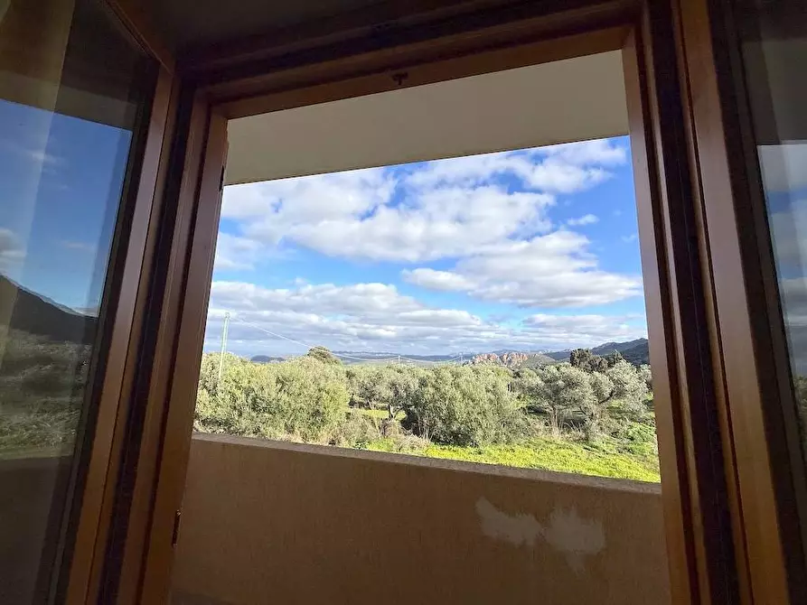 Immagine 6 di Appartamento in vendita  a Trinità D'agultu E Vignola