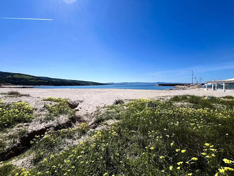 Immagine 33 di Appartamento in vendita  a Trinità D'agultu E Vignola