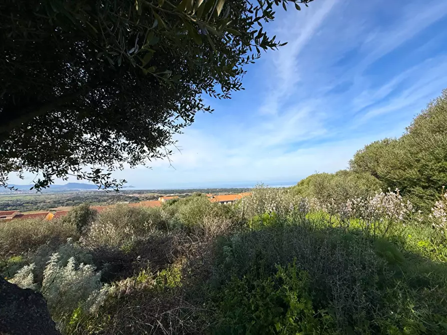 Immagine 12 di Appartamento in vendita  in VIA UGO FOSCOLO a Badesi