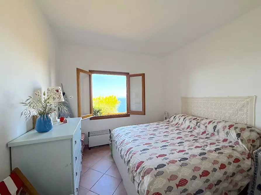 Immagine 8 di Appartamento in vendita  in Lu Pitrighinosu a Trinità D'agultu E Vignola